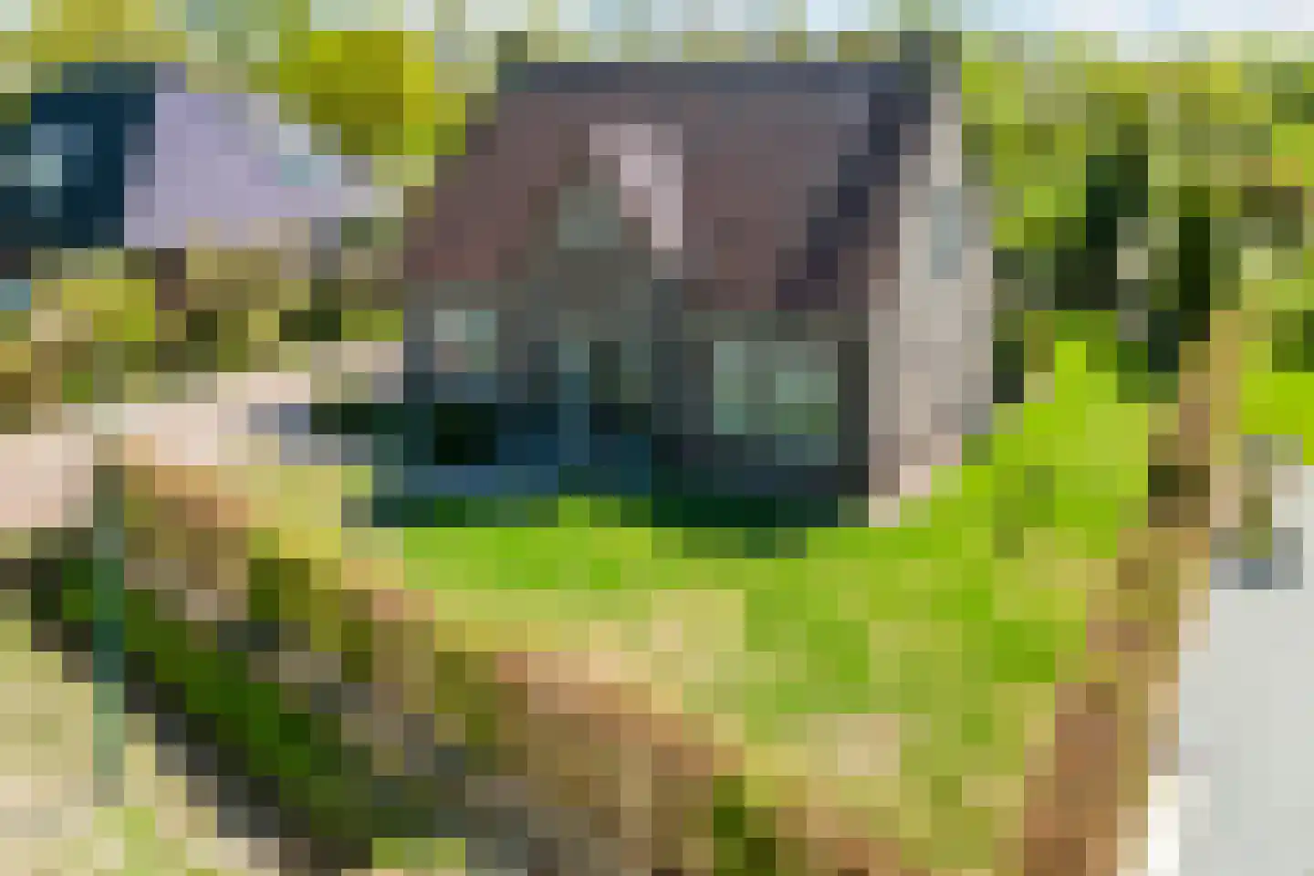 Gildeweg 30 Beers NB thumbnail 4