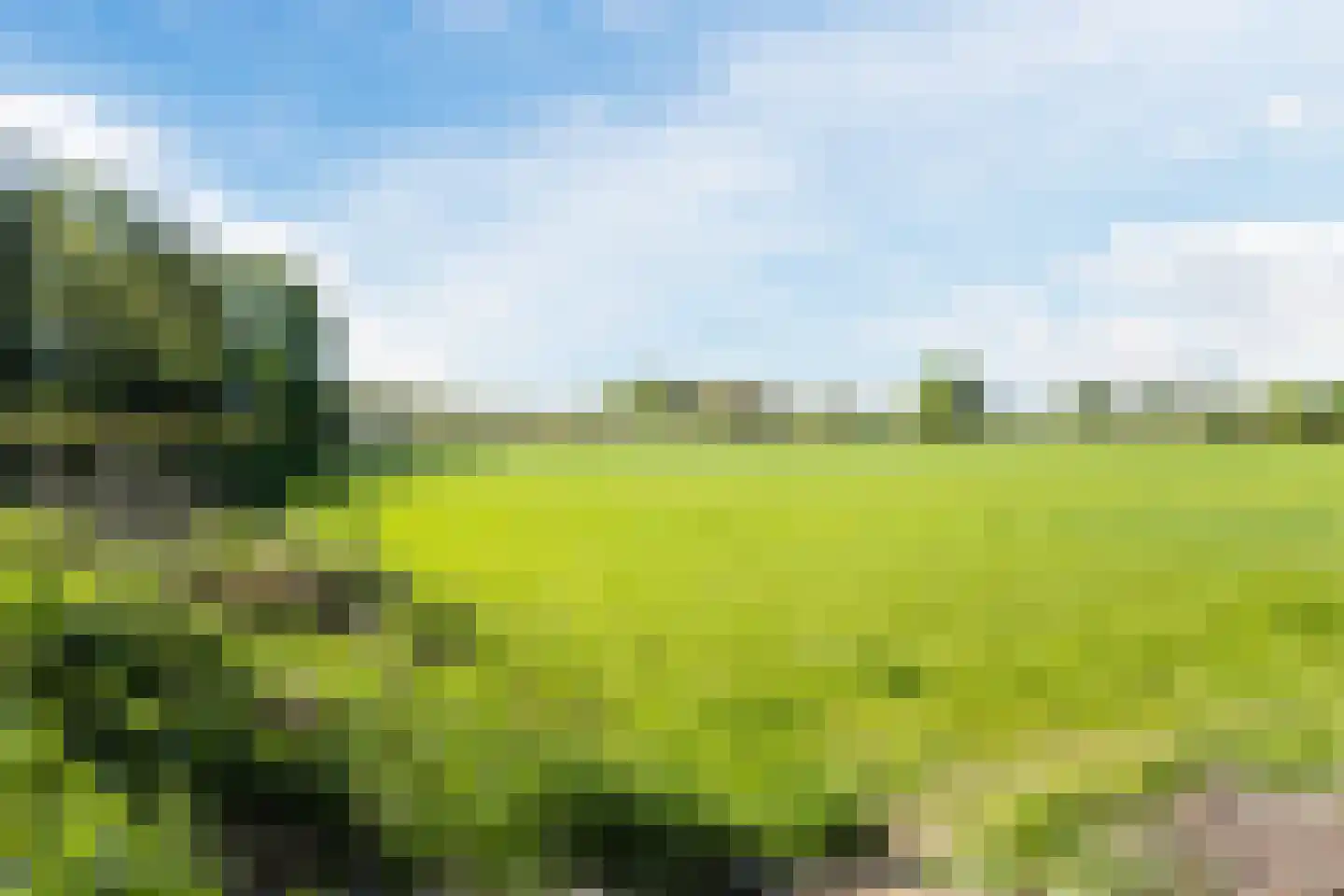 Gildeweg 30 Beers NB thumbnail 43