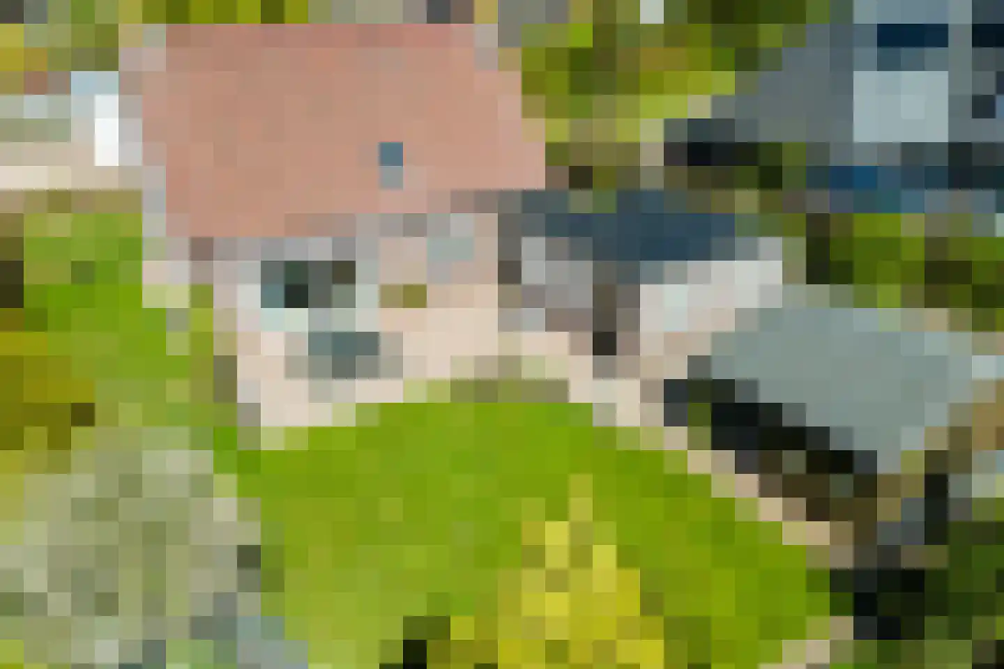 Gildeweg 30 Beers NB thumbnail 45