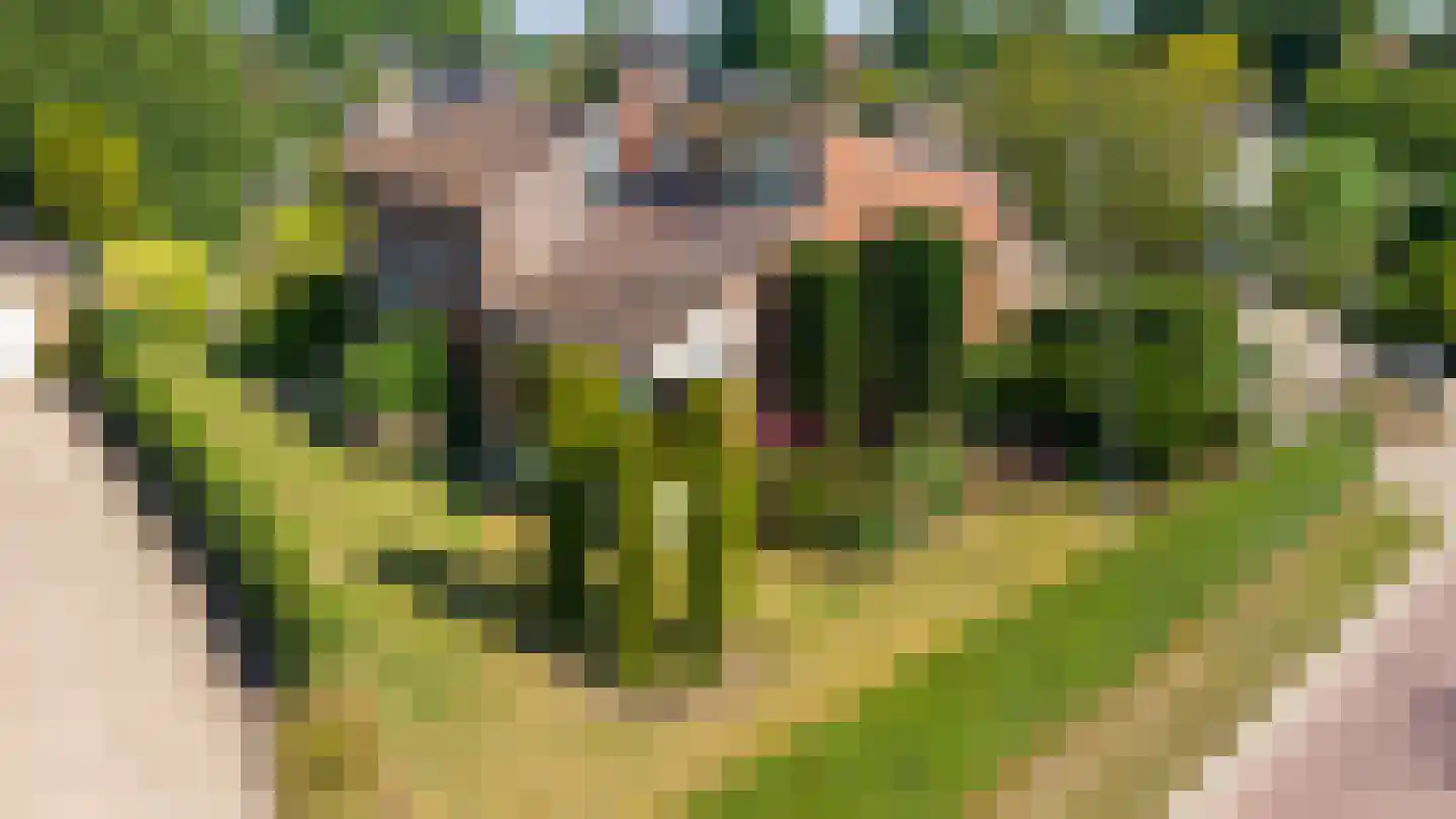 Gildeweg 43 Drempt