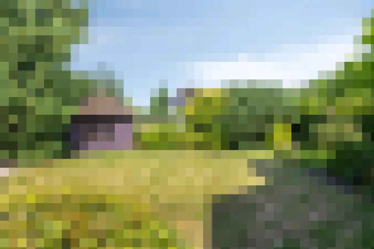 Gildeweg 43 Drempt thumbnail 25