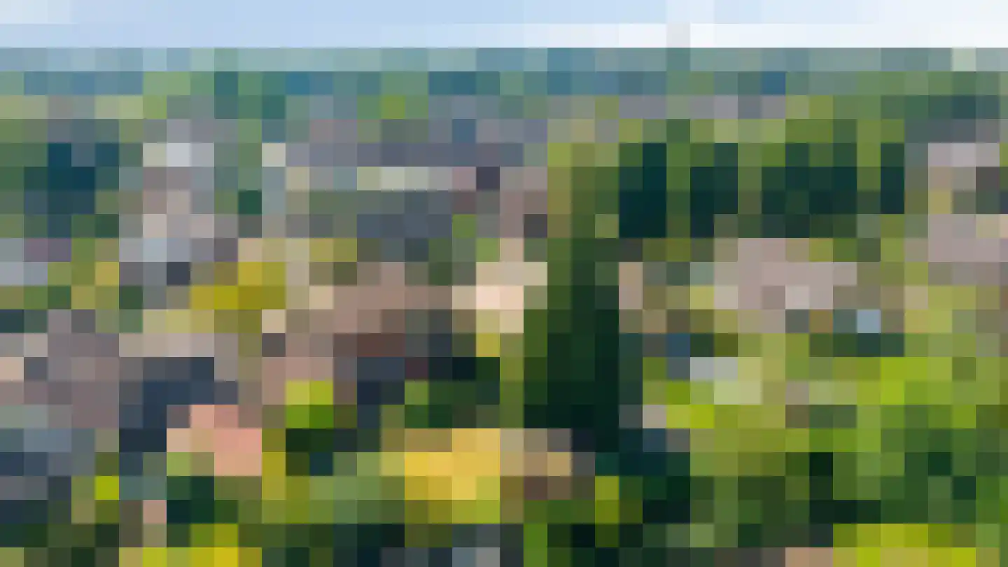 Gildeweg 43 Drempt thumbnail 27