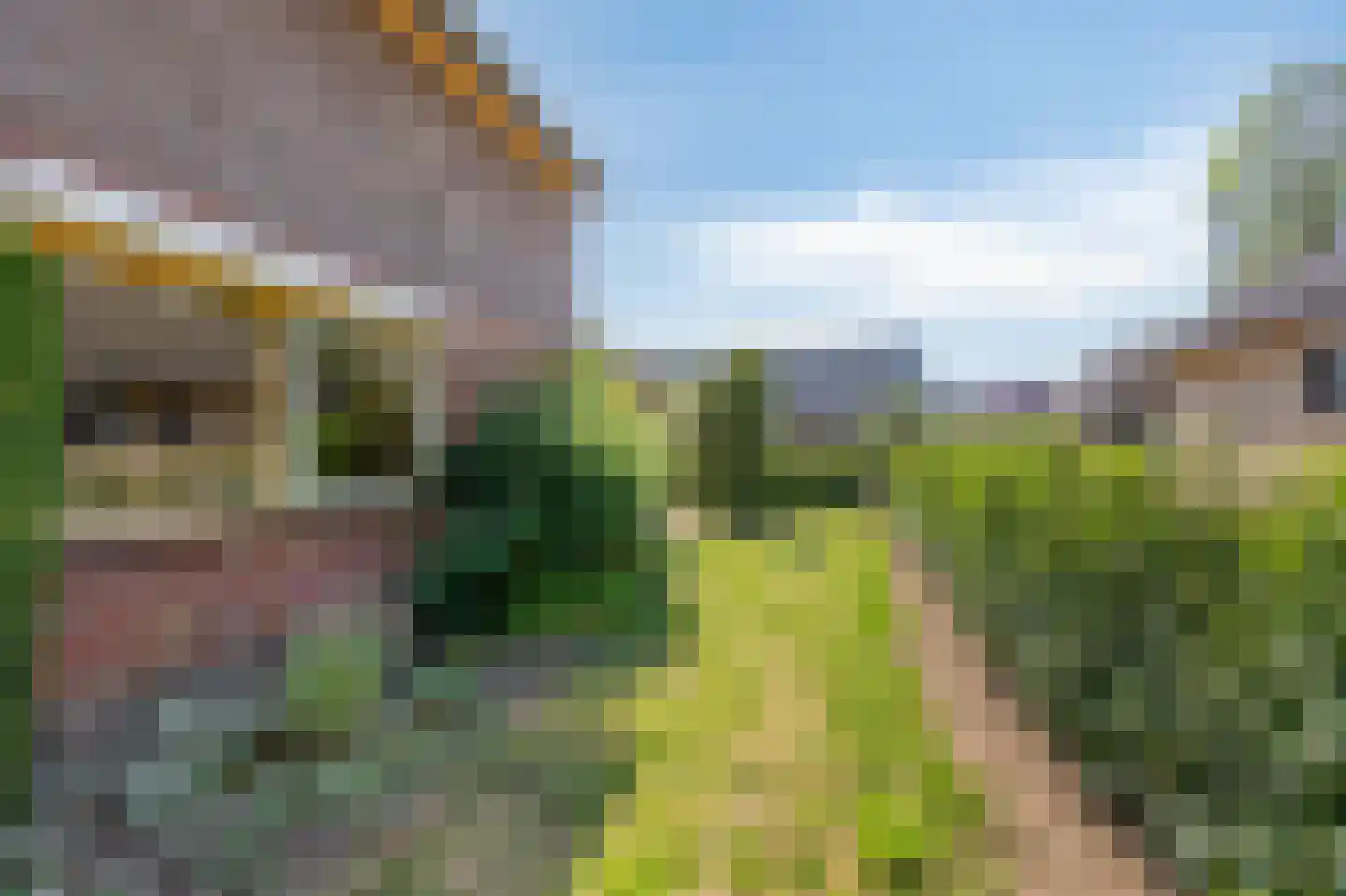 Gildeweg 43 Drempt thumbnail 29