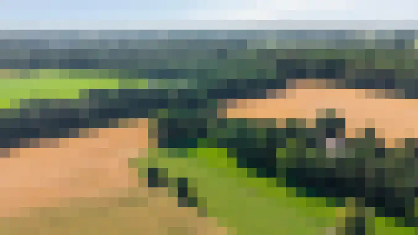 Gildeweg 43 Drempt thumbnail 55