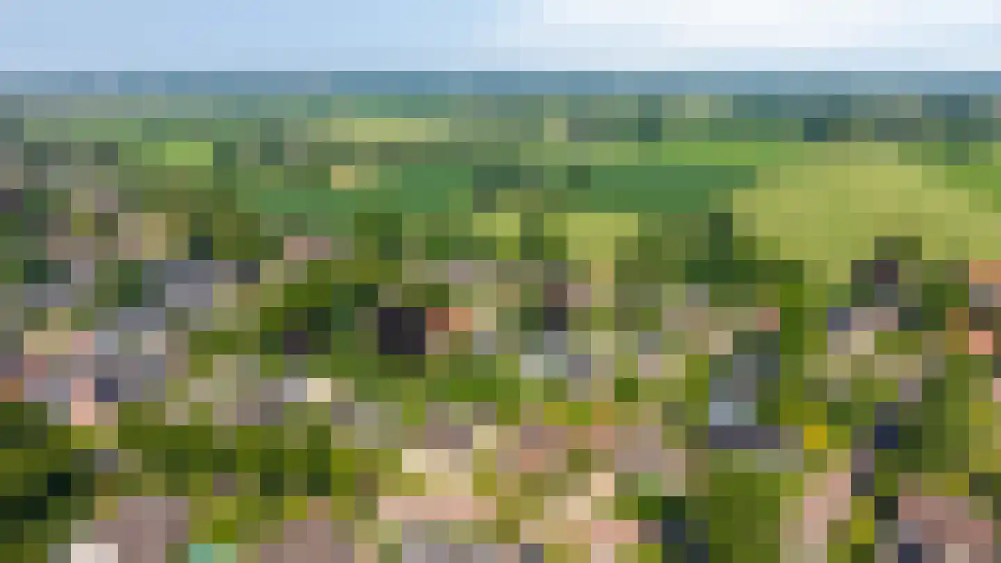 Gildeweg 43 Drempt thumbnail 56
