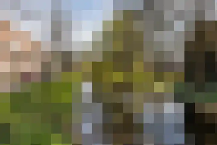 Gildeweg 43 Schiedam thumbnail 33