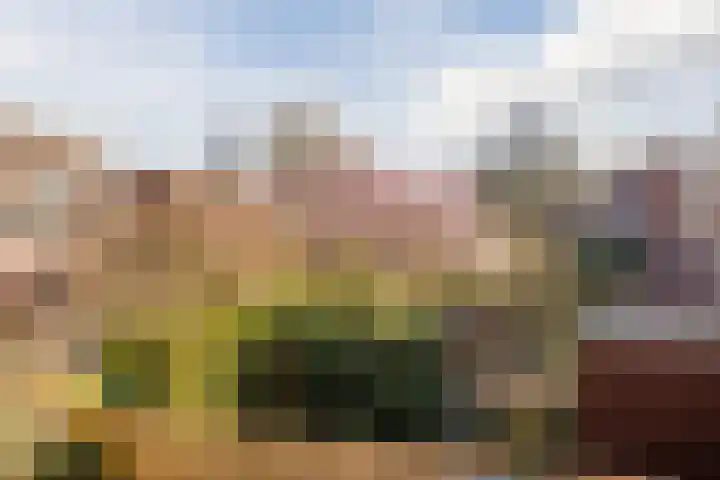Gildeweg 43 Schiedam thumbnail 9