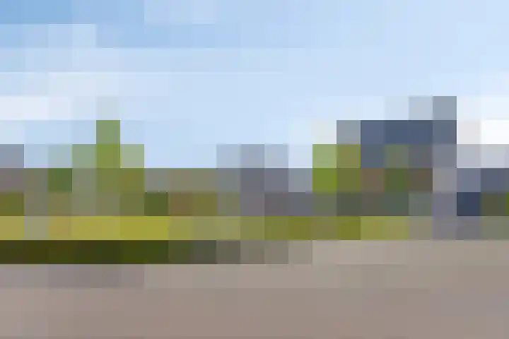 Gildeweg 55 Loon op Zand foto 2