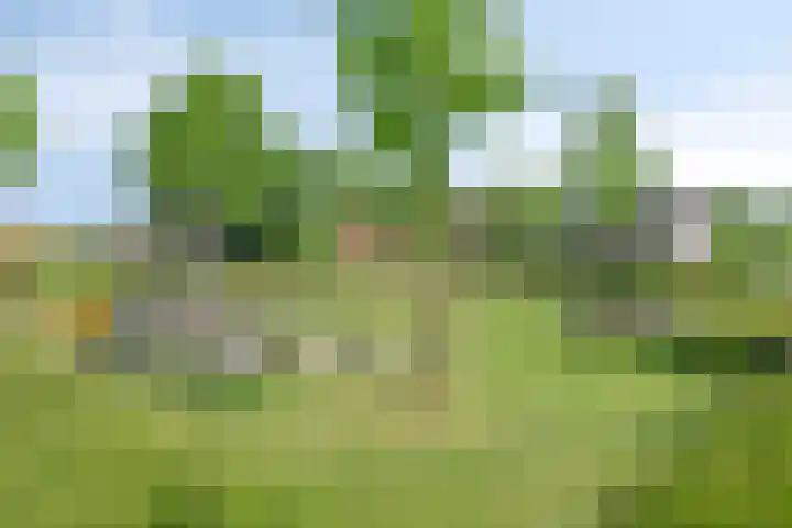 Gildeweg 55 Loon op Zand thumbnail 38