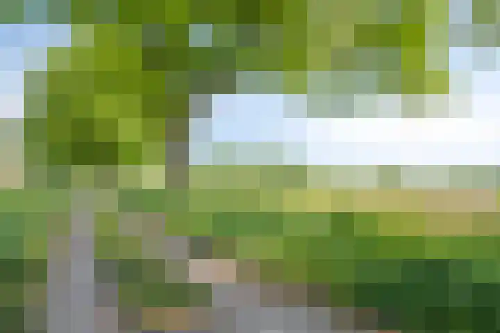Gildeweg 55 Loon op Zand thumbnail 39