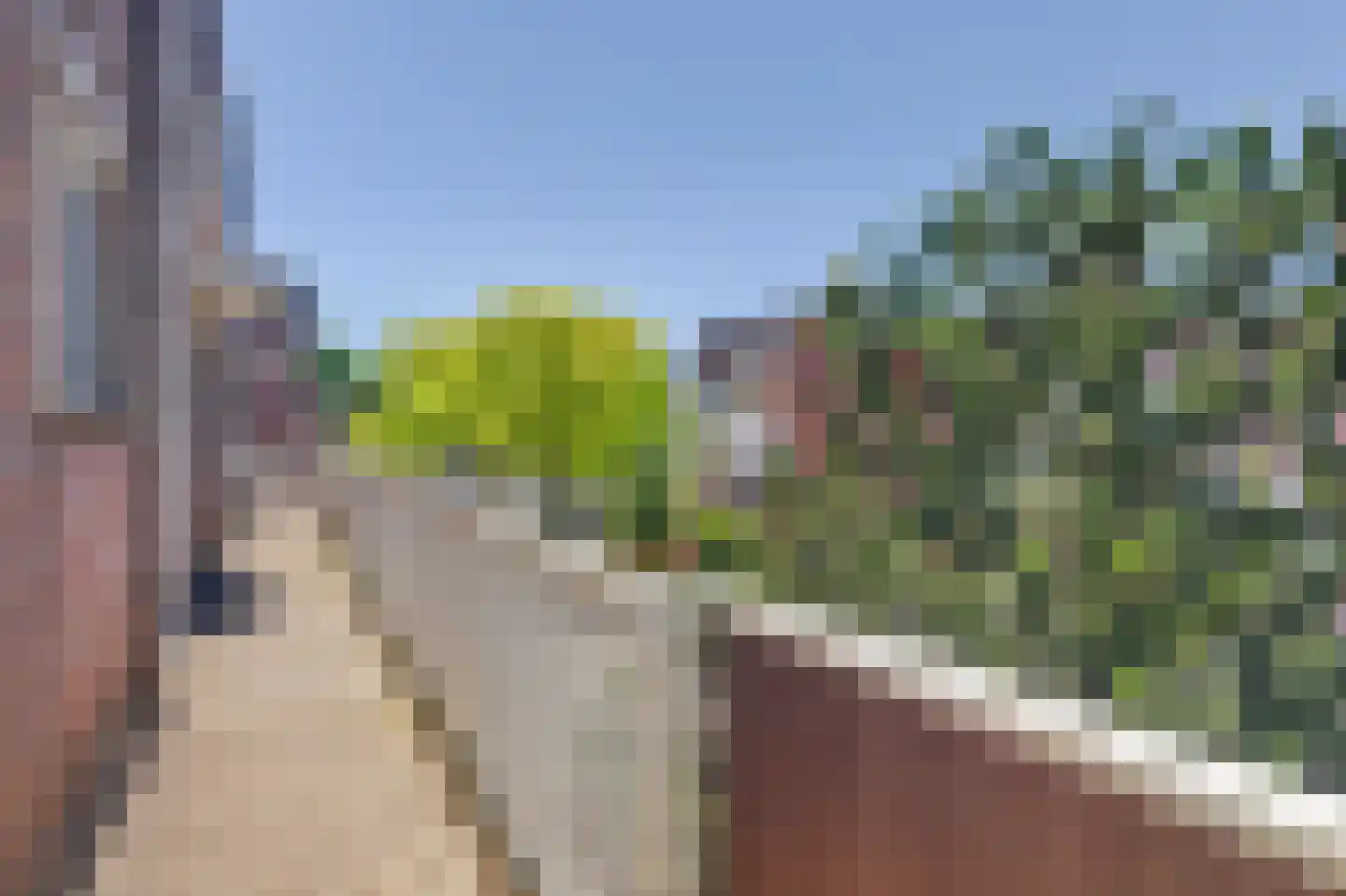 Gildeweg 62 Schiedam thumbnail 5