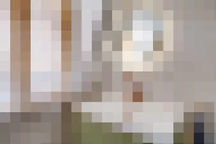 Gildstraat 1 Utrecht thumbnail 44