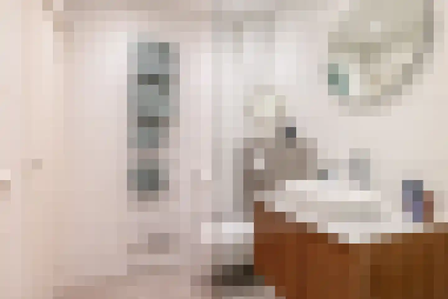 Gildstraat 117 Utrecht thumbnail 31