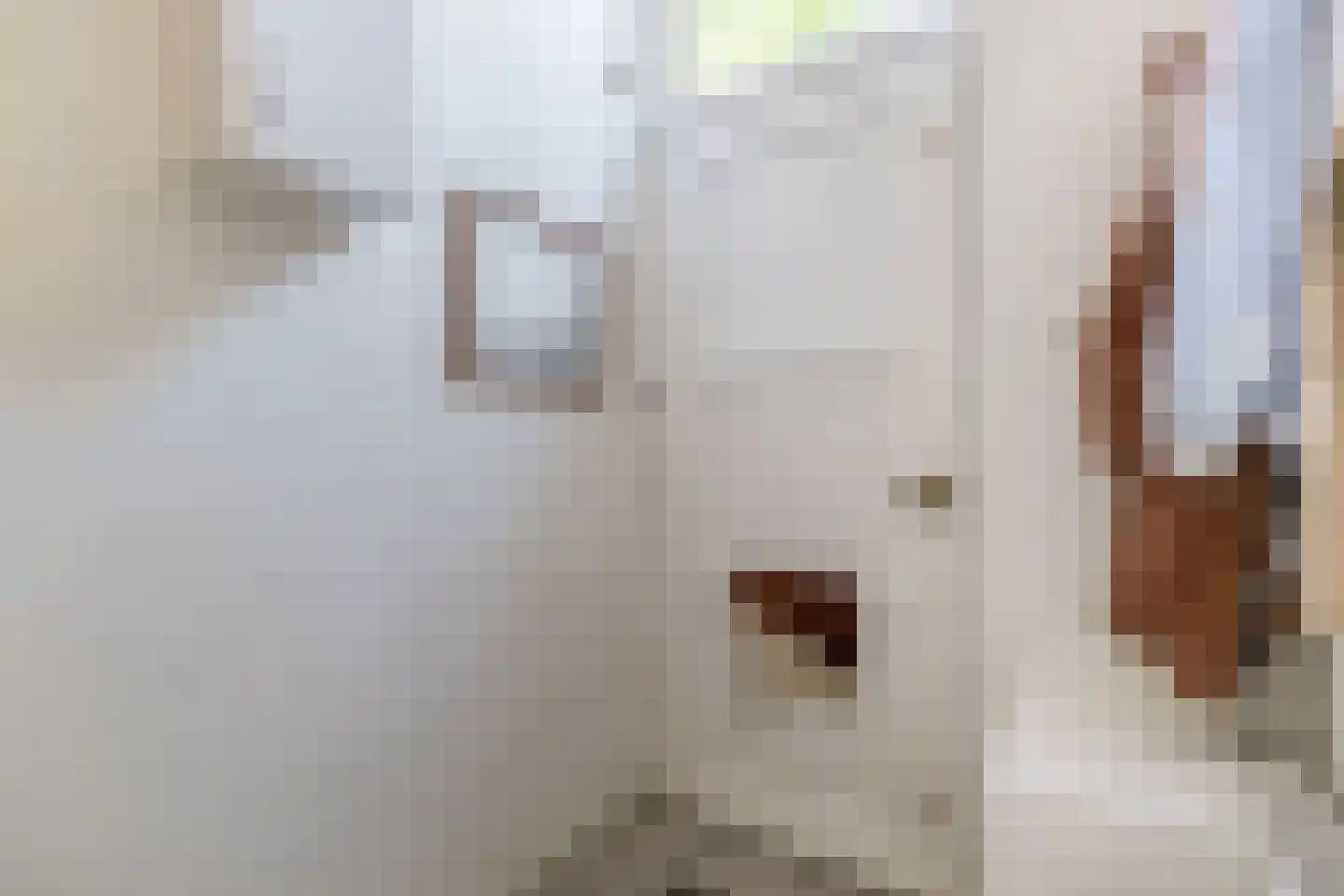 Gildstraat 117 Utrecht thumbnail 9
