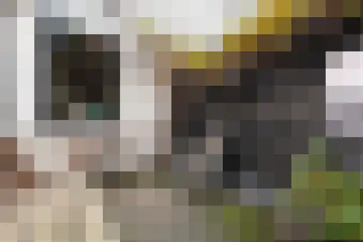 Gildstraat 129 Utrecht thumbnail 21