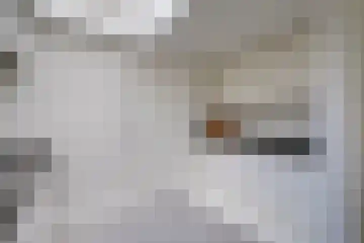 Gildstraat 200 Utrecht thumbnail 13