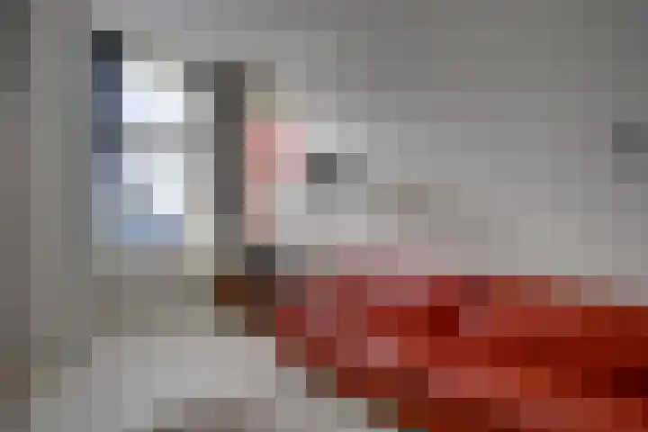 Gildstraat 200 Utrecht thumbnail 9