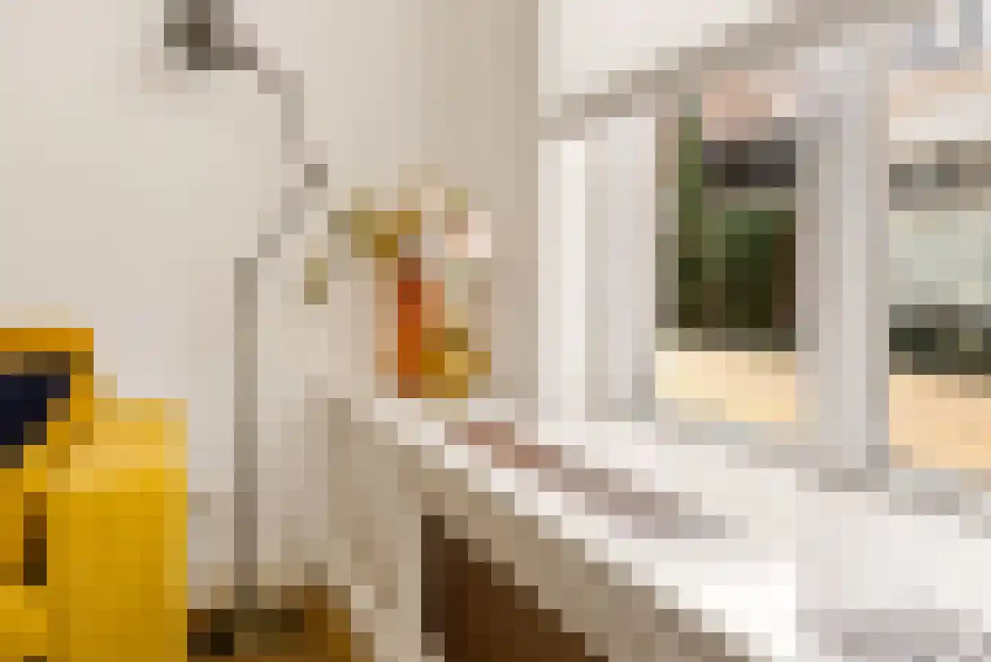 Gildstraat 54 Utrecht thumbnail 12
