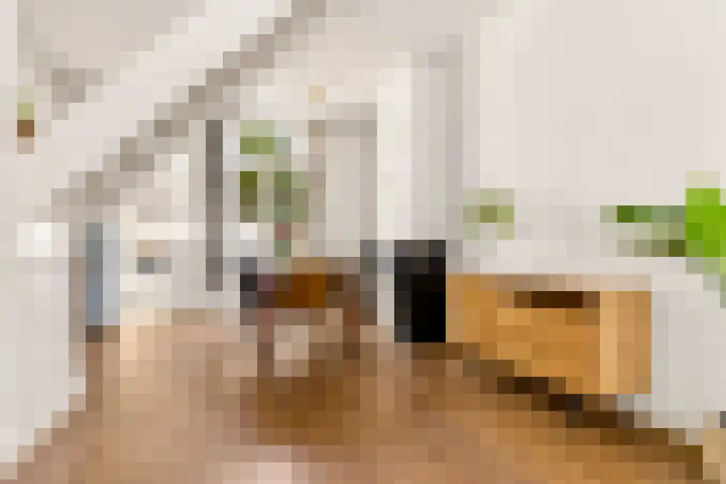 Gildstraat 54 Utrecht thumbnail 13