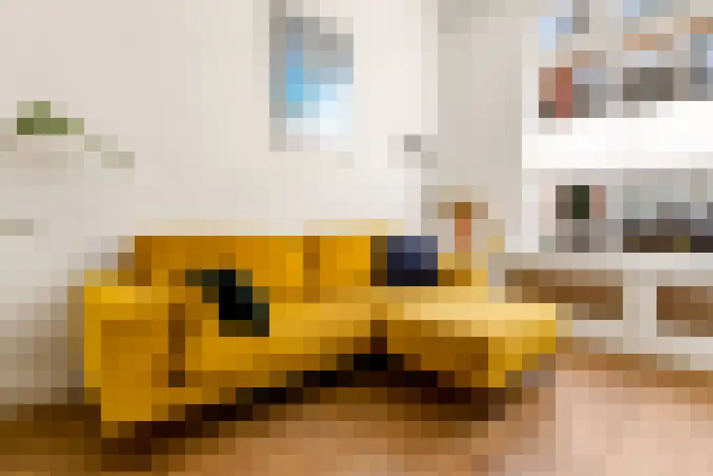 Gildstraat 54 Utrecht thumbnail 9