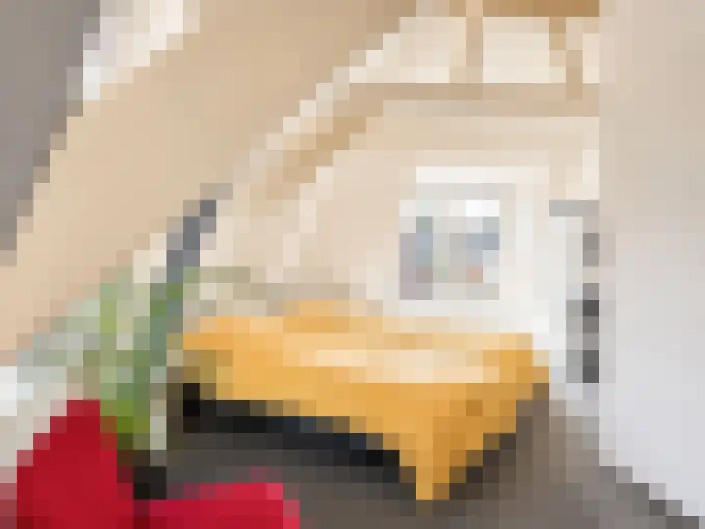 Gildstraat 62 Utrecht thumbnail 10