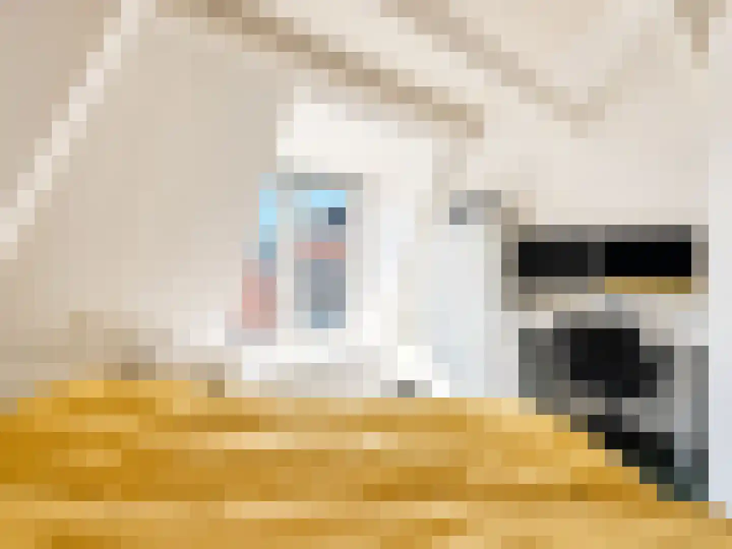 Gildstraat 62 Utrecht thumbnail 11