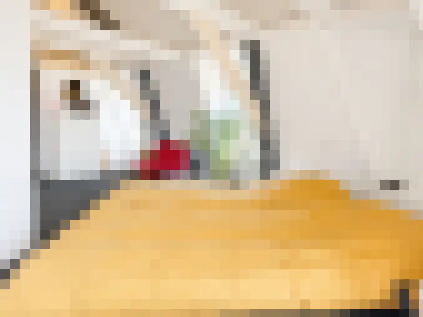 Gildstraat 62 Utrecht thumbnail 12