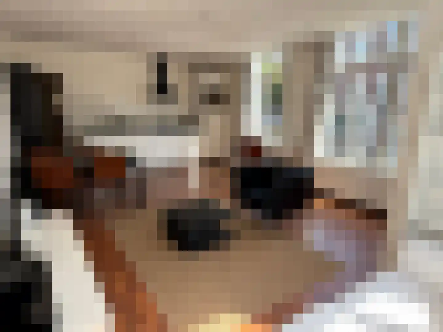 Gildstraat 62 Utrecht thumbnail 18