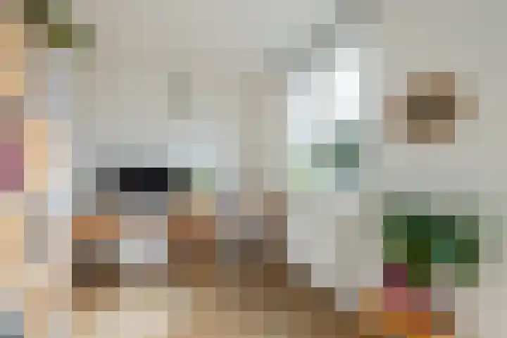 Gildstraat 77 Utrecht thumbnail 19