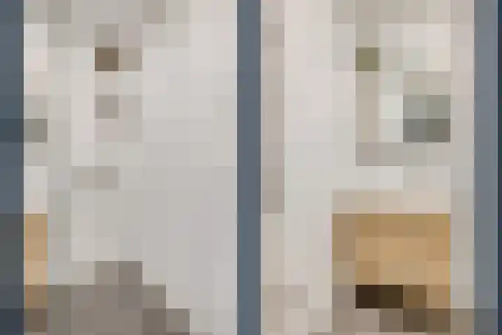 Gildstraat 77 Utrecht thumbnail 26