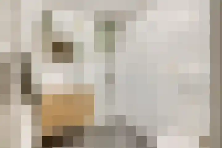 Gildstraat 77 Utrecht thumbnail 34