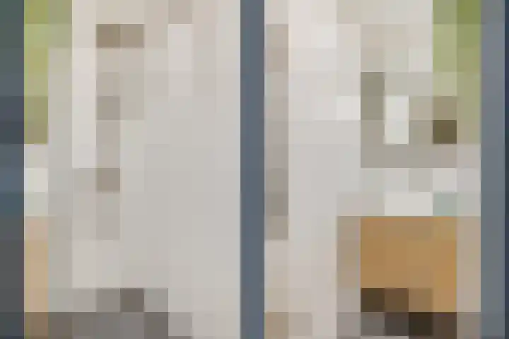 Gildstraat 77 Utrecht thumbnail 35