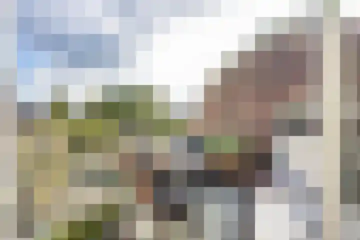 Gildstraat 77 Utrecht thumbnail 5