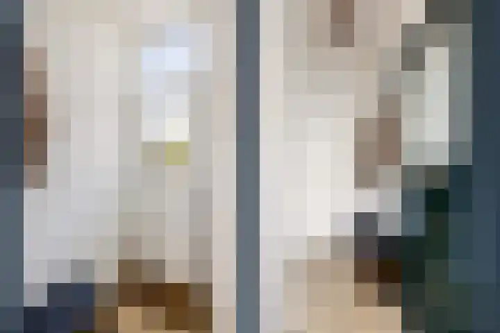 Gildstraat 77 Utrecht thumbnail 7