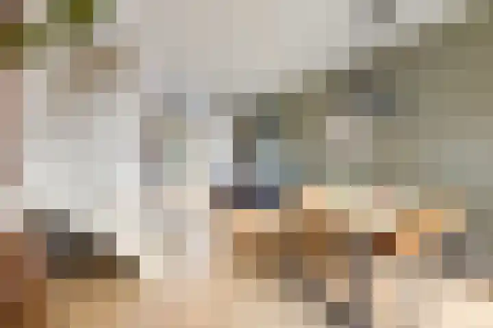 Gildstraat 77 Utrecht thumbnail 8