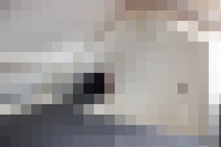 Gildstraat 83 Utrecht thumbnail 38