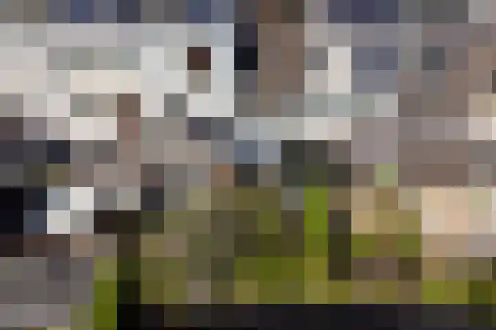 Gildstraat 83 Utrecht thumbnail 40