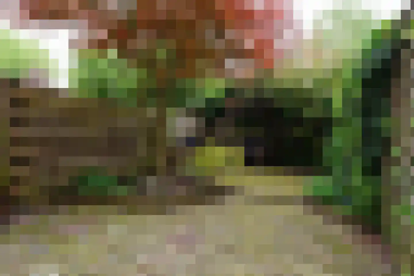 Gildstraat 84 Utrecht thumbnail 14