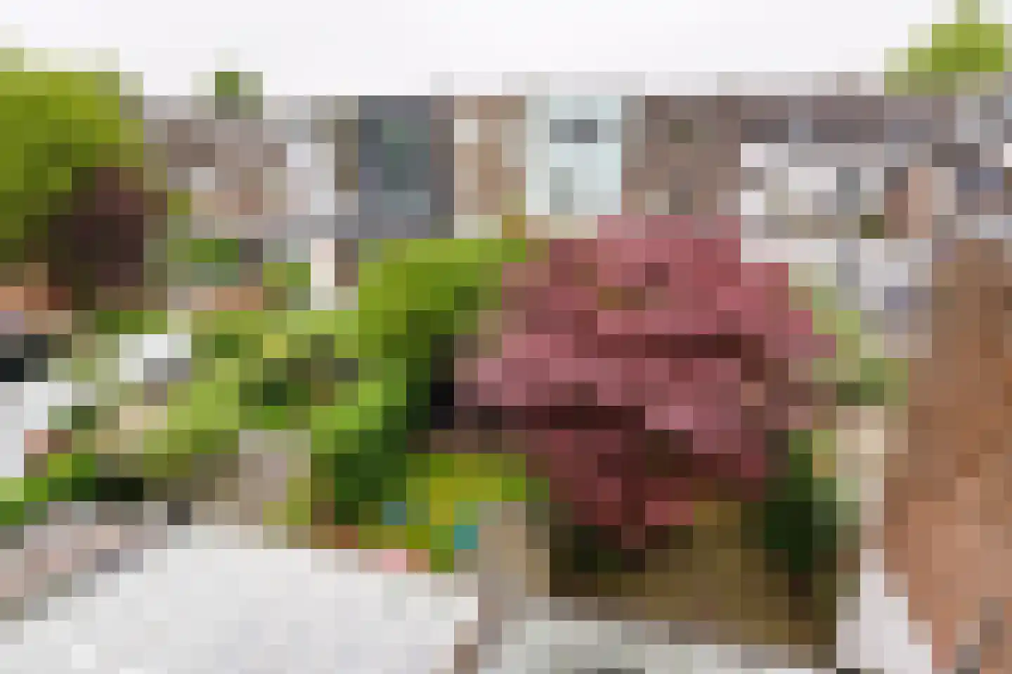 Gildstraat 84 Utrecht thumbnail 34