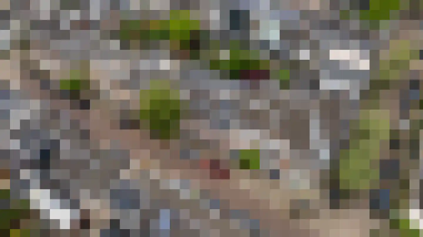 Gildstraat 84 Utrecht thumbnail 40