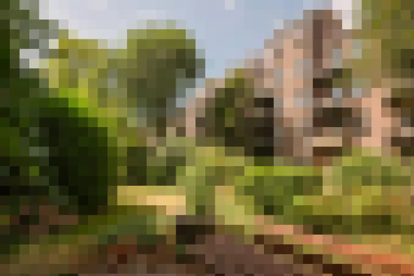 Gillis van Ledenberchstraat 11 2 Amsterdam thumbnail 32