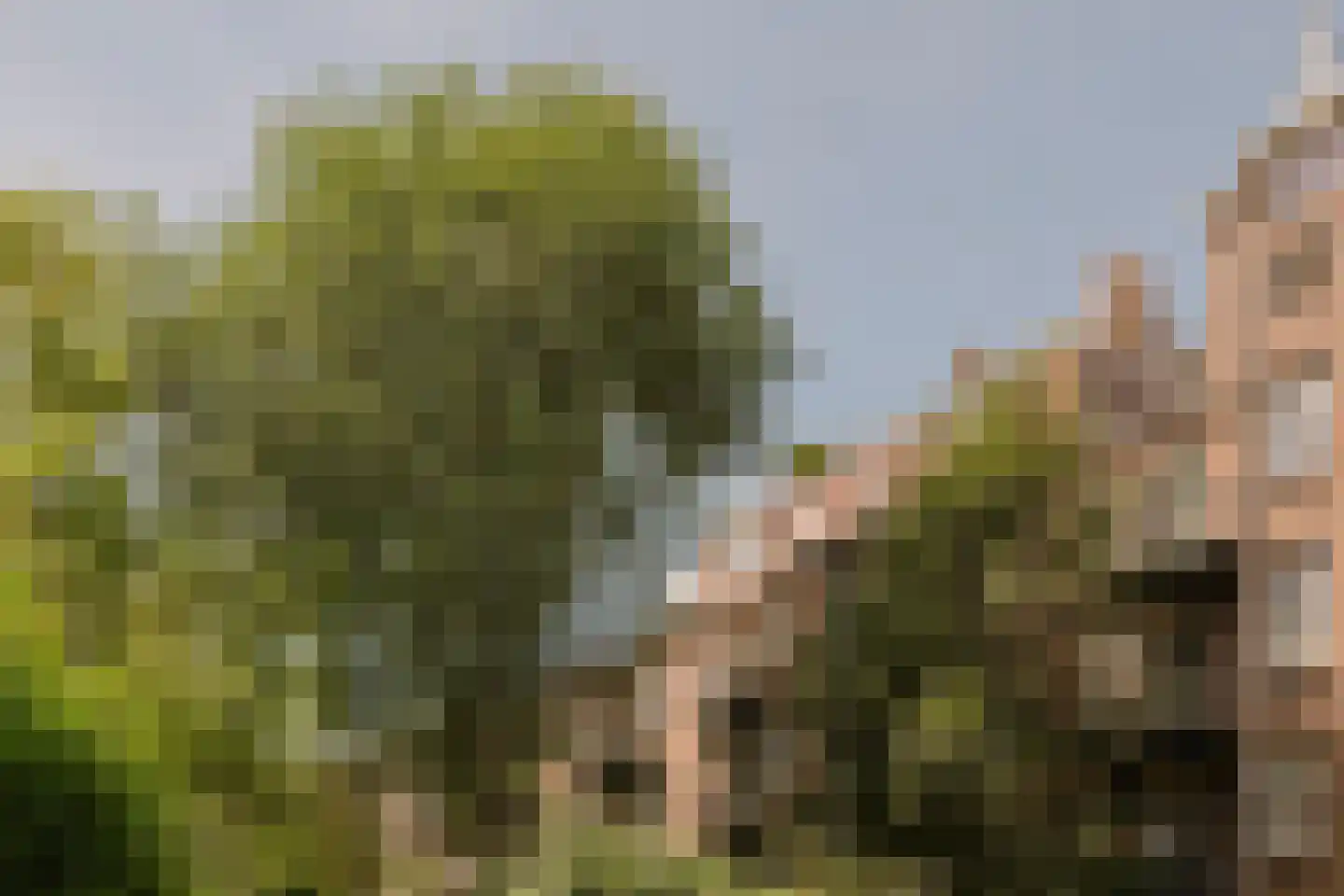 Gillis van Ledenberchstraat 11 2 Amsterdam thumbnail 36