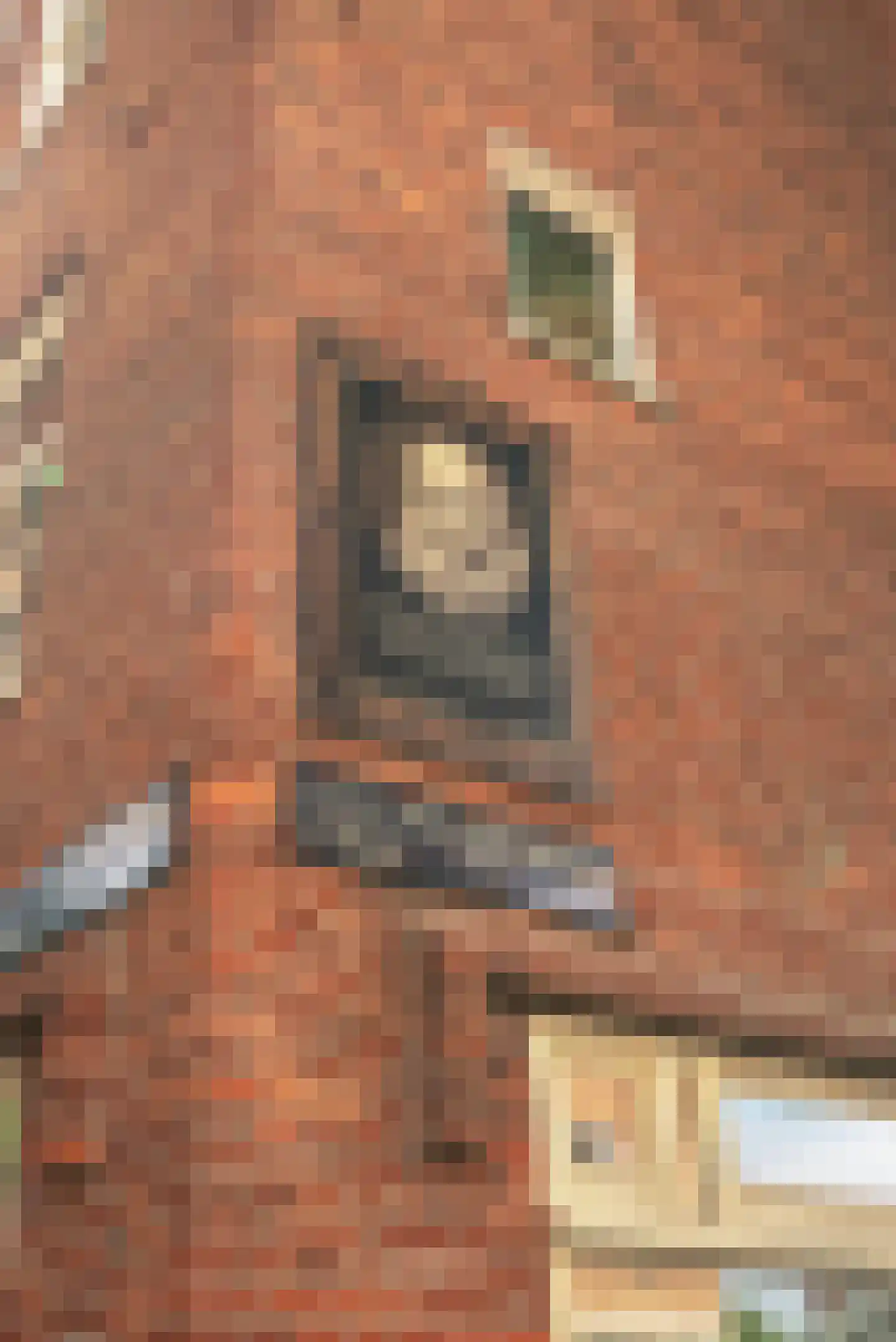 Gillis van Ledenberchstraat 16 A Amsterdam thumbnail 38