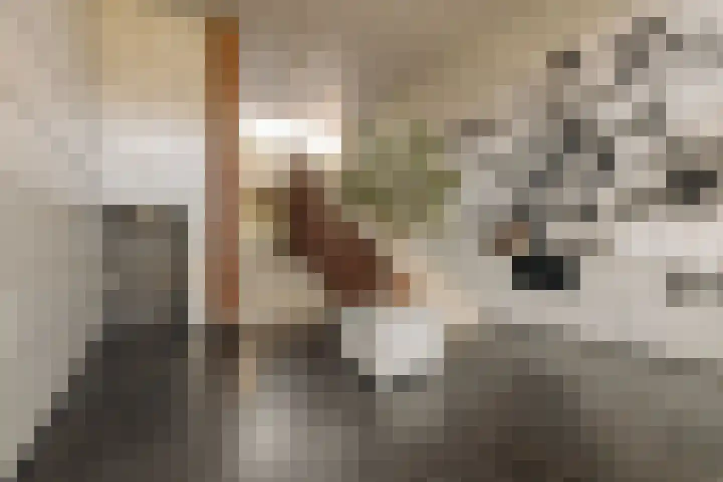 Gillis van Ledenberchstraat 18 H Amsterdam thumbnail 30