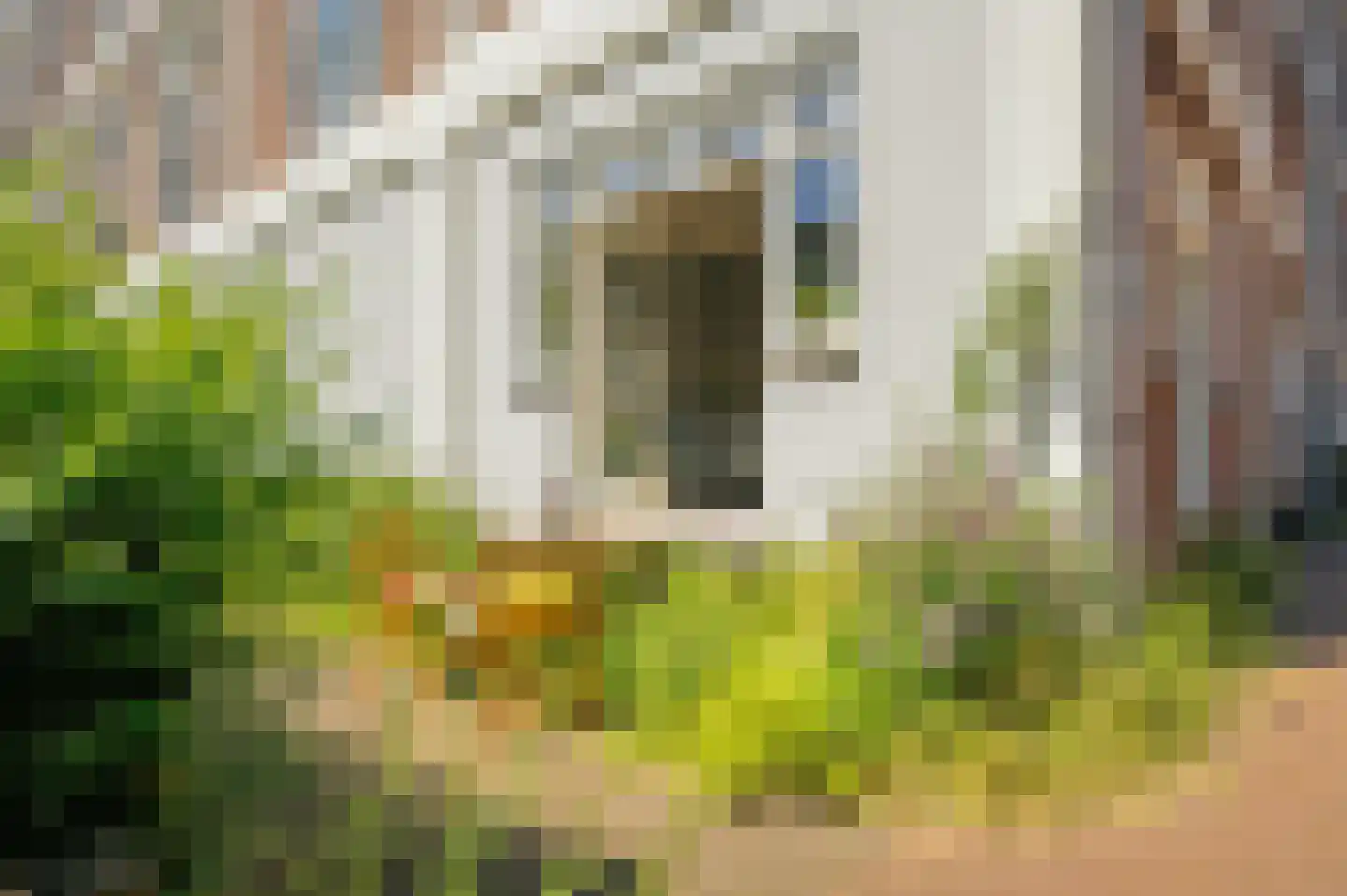 Gillis van Ledenberchstraat 2 C Amsterdam thumbnail 4