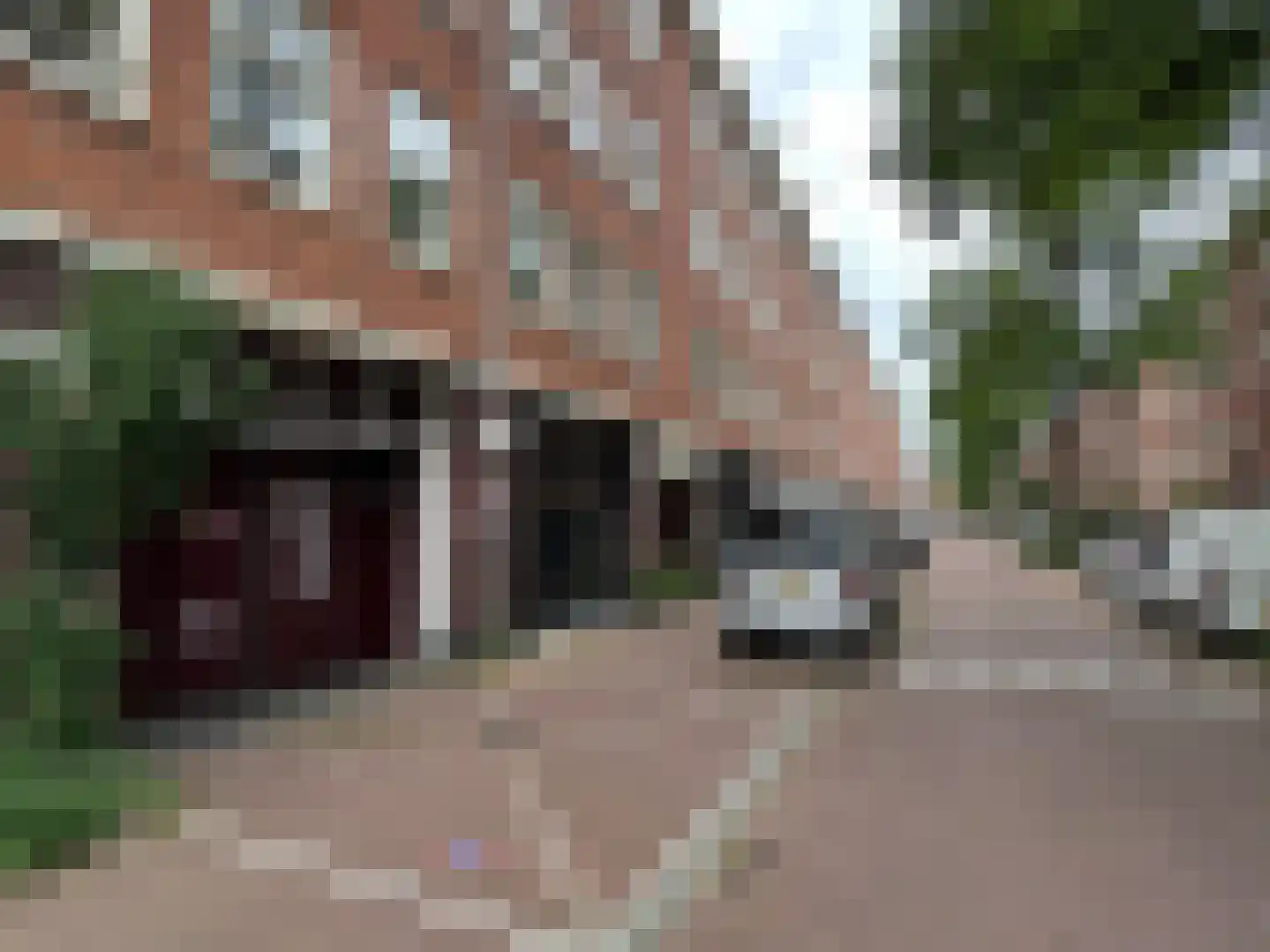 Gillis van Ledenberchstraat 32 Amsterdam foto 2