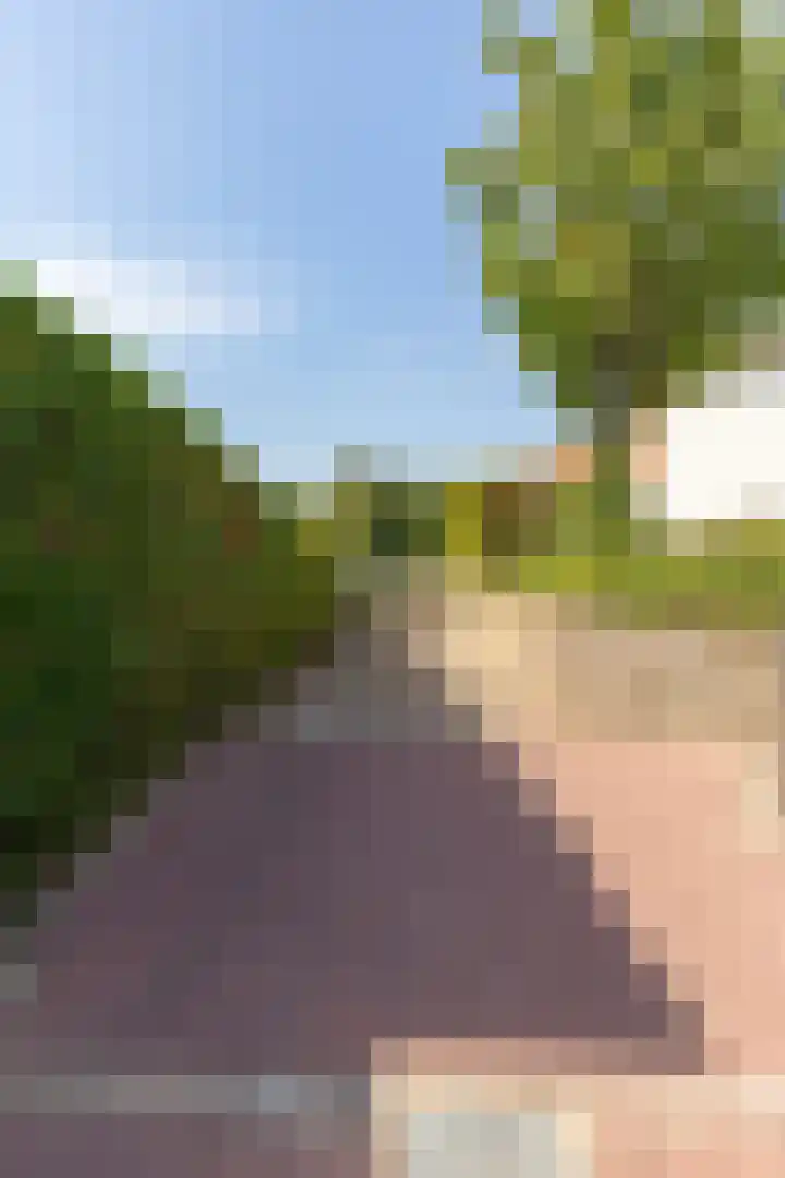 Gillissenstraat 8 Simpelveld thumbnail 26