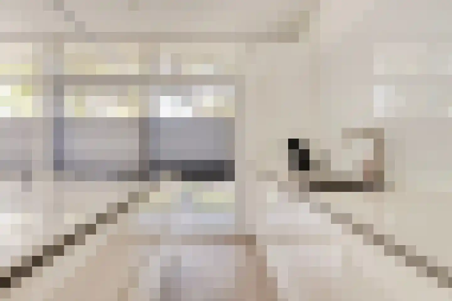 Gillisstraat 2 Sas van Gent thumbnail 16