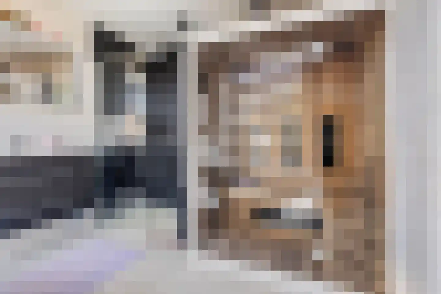 Gillisstraat 2 Sas van Gent thumbnail 21