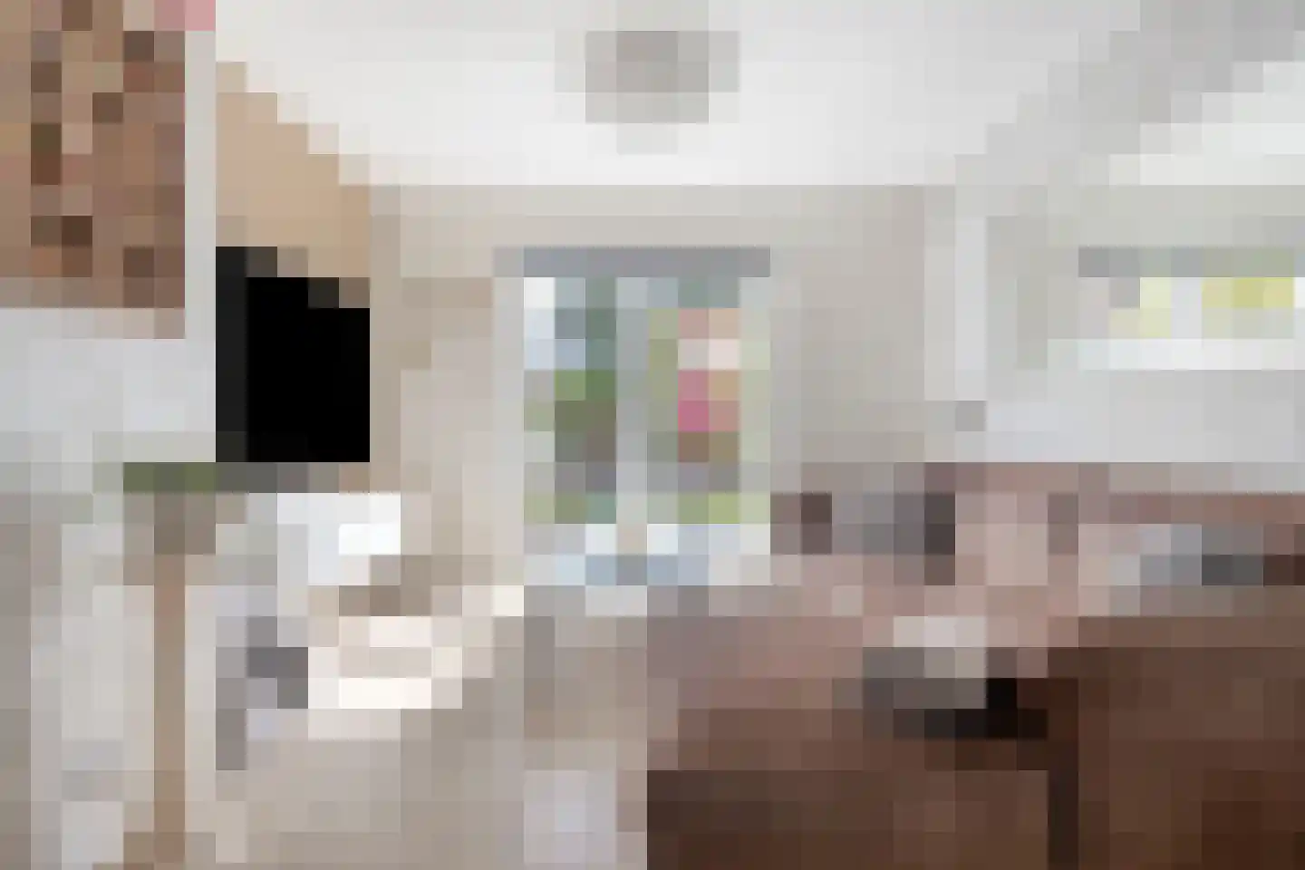 Gillisstraat 2 Sas van Gent thumbnail 7